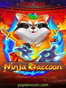 NinjaRaccoon